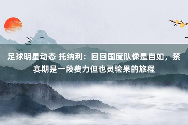 足球明星动态 托纳利：回回国度队像是自如，禁赛期是一段费力但也灵验果的旅程