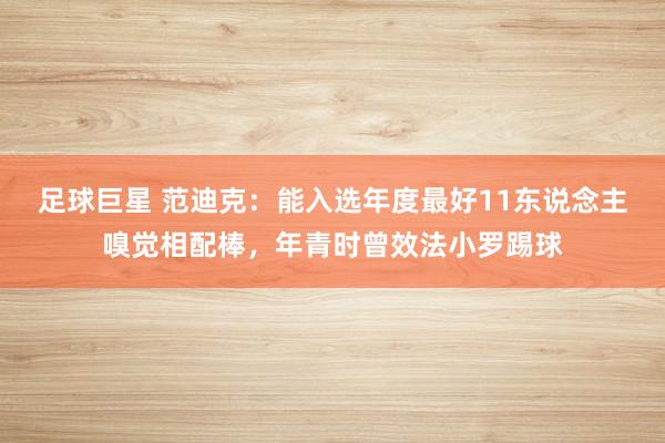 足球巨星 范迪克：能入选年度最好11东说念主嗅觉相配棒，年青时曾效法小罗踢球