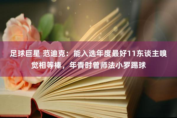 足球巨星 范迪克：能入选年度最好11东谈主嗅觉相等棒，年青时曾师法小罗踢球