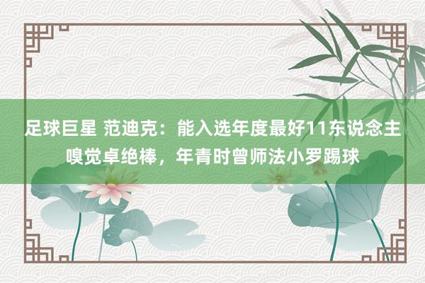 足球巨星 范迪克：能入选年度最好11东说念主嗅觉卓绝棒，年青时曾师法小罗踢球