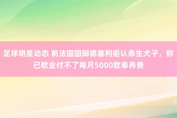 足球明星动态 前法国国脚德塞利拒认亲生犬子，称已歇业付不了每月5000欧奉养费