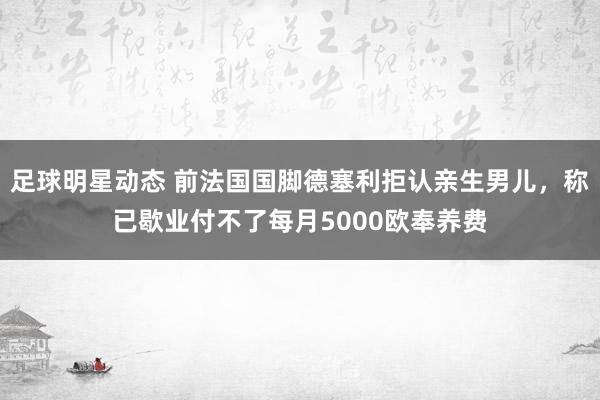 足球明星动态 前法国国脚德塞利拒认亲生男儿，称已歇业付不了每月5000欧奉养费