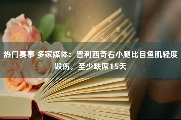 热门赛事 多家媒体：普利西奇右小腿比目鱼肌轻度毁伤，至少缺席15天