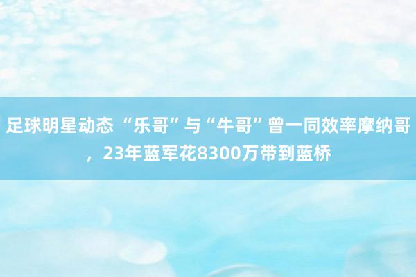 足球明星动态 “乐哥”与“牛哥”曾一同效率摩纳哥，23年蓝军花8300万带到蓝桥