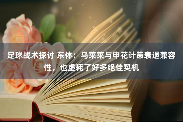 足球战术探讨 东体：马莱莱与申花计策衰退兼容性，也虚耗了好多绝佳契机