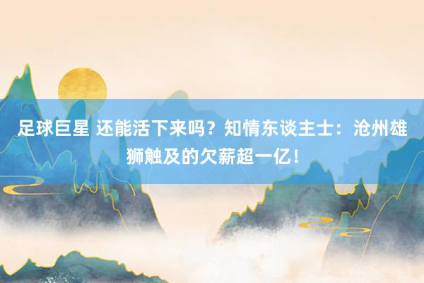 足球巨星 还能活下来吗？知情东谈主士：沧州雄狮触及的欠薪超一亿！