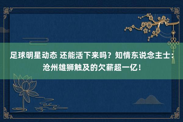 足球明星动态 还能活下来吗？知情东说念主士：沧州雄狮触及的欠薪超一亿！