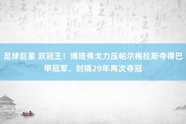 足球巨星 双冠王！博塔弗戈力压帕尔梅拉斯夺得巴甲冠军，时隔29年再次夺冠