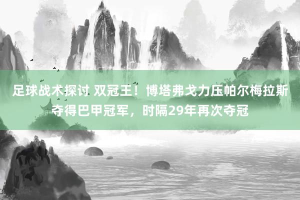 足球战术探讨 双冠王！博塔弗戈力压帕尔梅拉斯夺得巴甲冠军，时隔29年再次夺冠