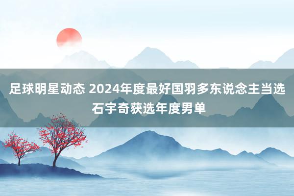 足球明星动态 2024年度最好国羽多东说念主当选 石宇奇获选年度男单