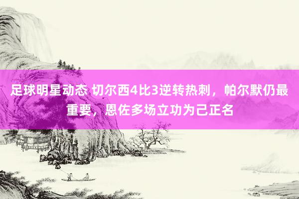 足球明星动态 切尔西4比3逆转热刺，帕尔默仍最重要，恩佐多场立功为己正名